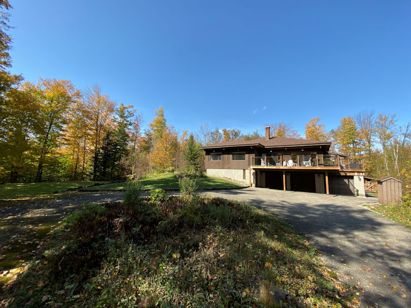 Exploring consciousness in Halton Hills forest